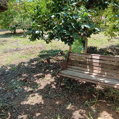 Vakantiehuis Casa Com Arte - With Swimming Pool *