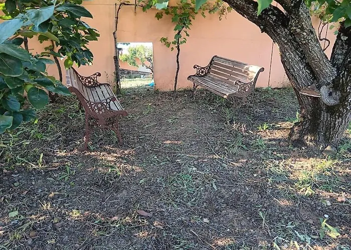 Casa Com Arte - With Swimming Pool Vermelha