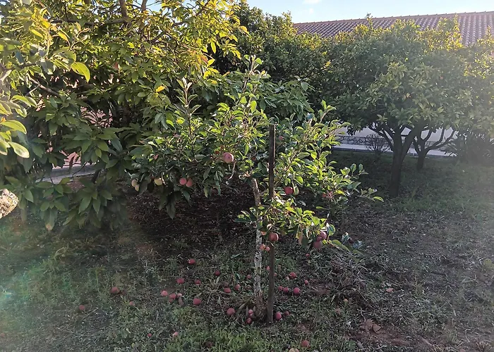 Casa Com Arte - With Swimming Pool Feriehus