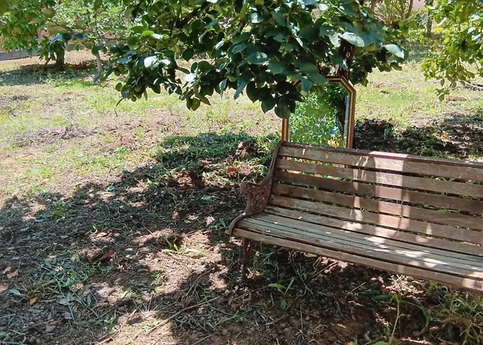 Feriehus Casa Com Arte - With Swimming Pool *