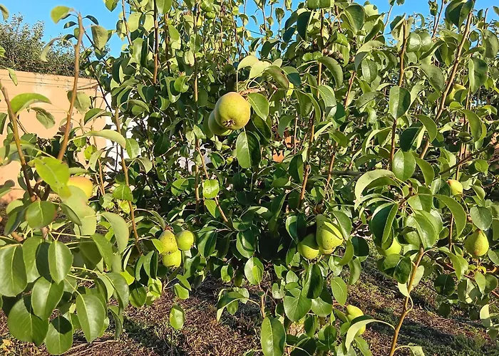 Casa Com Arte - With Swimming Pool Feriehus Vermelha